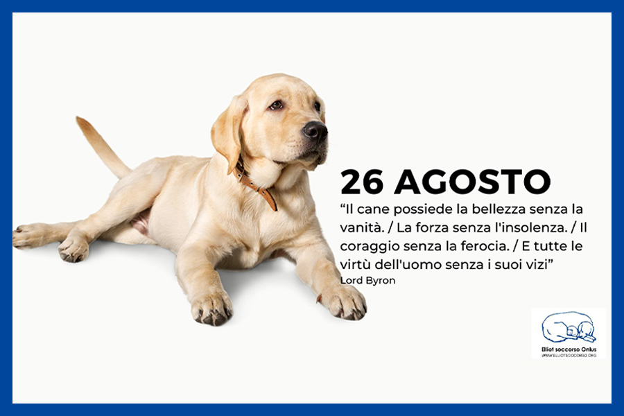 giornata internazionale del cane 26 agosto 2024 elliot soccorso